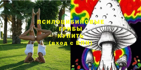 сатива Алзамай