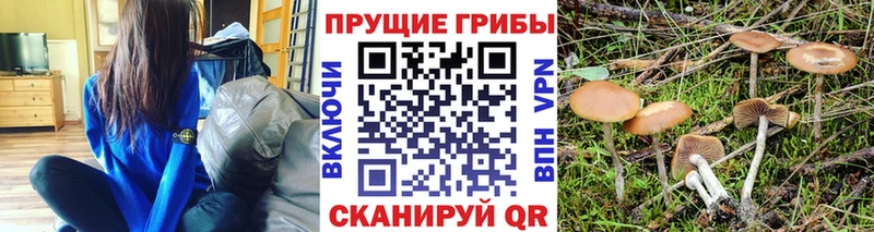 Псилоцибиновые грибы Cubensis Орлов