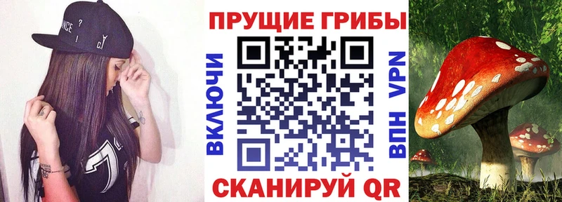 где продают   Орлов  Псилоцибиновые грибы MAGIC MUSHROOMS 